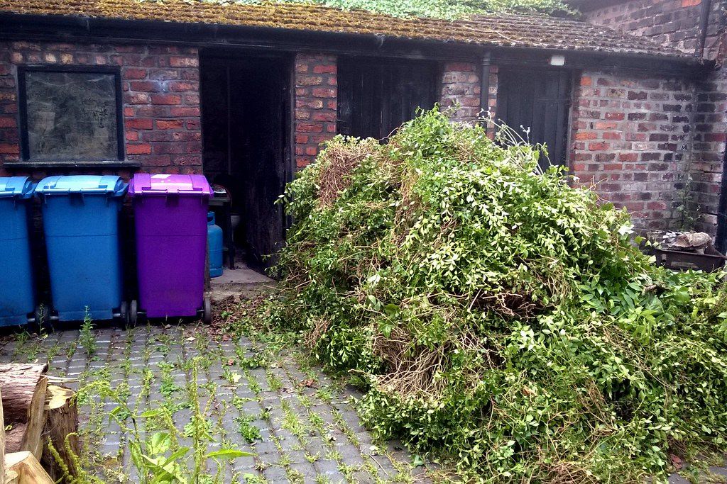 Pile of yard waste and green bins ready for removal