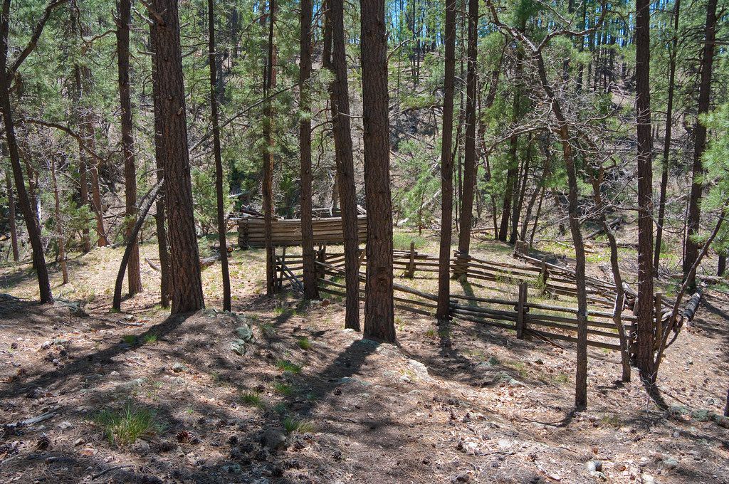 Elm Creek Forest Trails